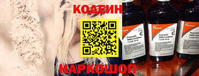 шишки Камышлов