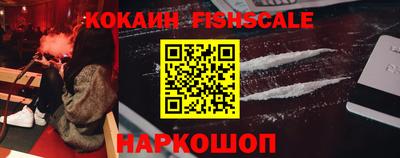шишки Камышлов