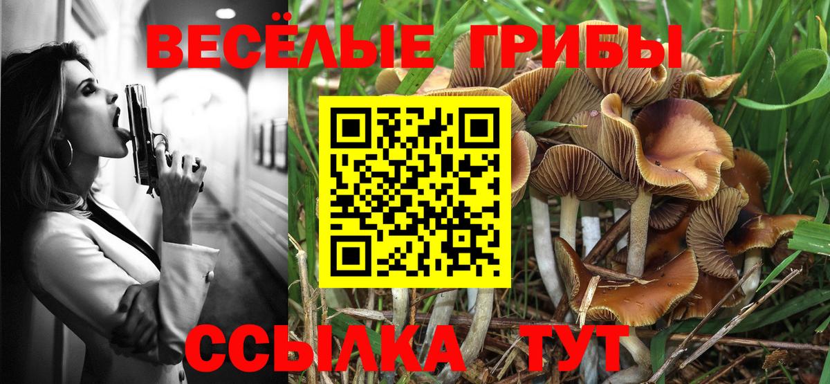 Галлюциногенные грибы Psilocybe  купить  сайты  Кызыл  Вход с VPN 