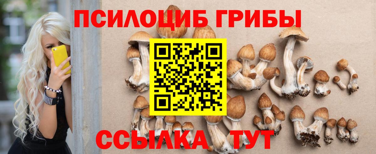 Псилоцибиновые грибы мицелий Кызыл