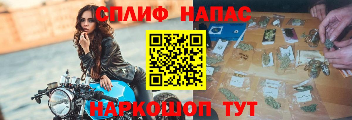 Каннабис планчик  Вход с VPN  Каннабис OG Kush  Бошки Шишки гибрид  Кызыл  Шишки марихуана семена 